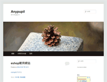 Tablet Screenshot of anypupil.com